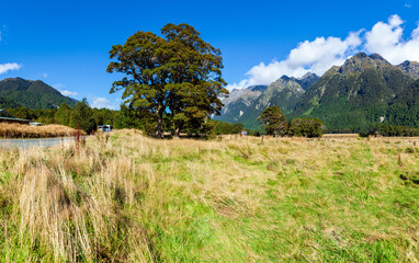 Lake Wakatipu, Queenstown, South Island, New Zealand