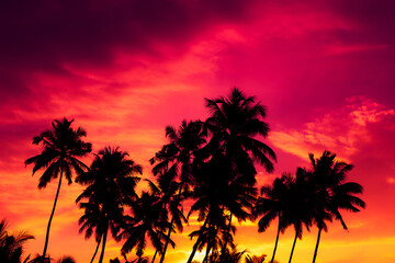 Fototapeta na wymiar Sunset on tropical beach with coconut palm trees silhouettes
