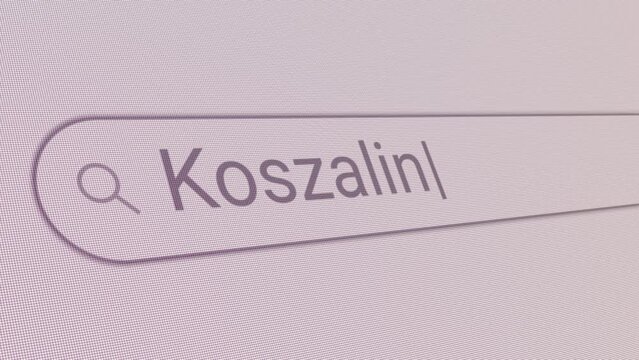 Search Bar Koszalin 
Close Up Single Line Typing Text Box Layout Web Database Browser Engine Concept
