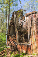 Old ruined house in a woodland