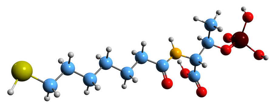  3D image of Coenzyme B skeletal formula - molecular chemical structure of  7-mercaptoheptanoylthreoninephosphate isolated on white background
