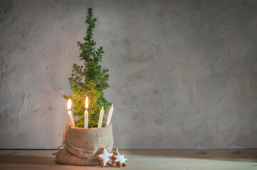Alternative second Advent wreath, two candle lit with a flame on a small conifer plant as Christmas...