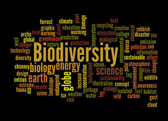 Word Cloud with BIODIVERSITY concept, isolated on a black background