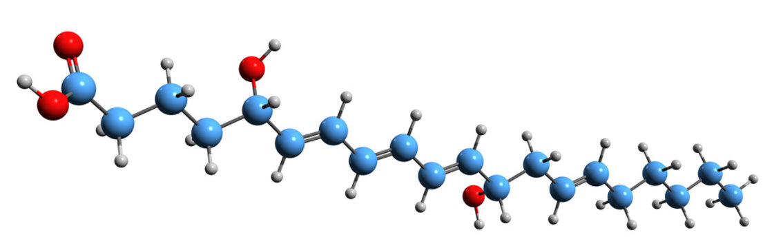  3D image of Leukotriene B4 skeletal formula - molecular chemical structure of  eicosanoid inflammatory mediator isolated on white background

