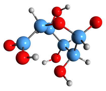  3D image of Mannuronic acid skeletal formula - molecular chemical structure of  uronic acid monosaccharide isolated on white background