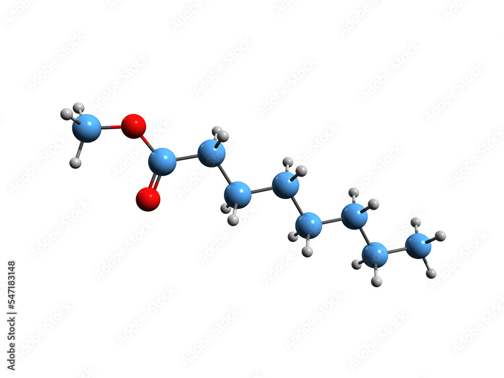 Canvas Prints  3D image of Methyl octanoate skeletal formula - molecular chemical structure of Methyl caprylate isolated on white background
