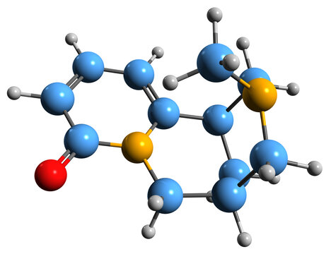  3D image of Methylcytisine skeletal formula - molecular chemical structure of alkaloid Caulophylline isolated on white background
