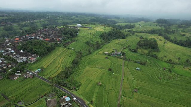 Bali, Indonesia - November 13, 2022: The Bali Terrace Rice Fields