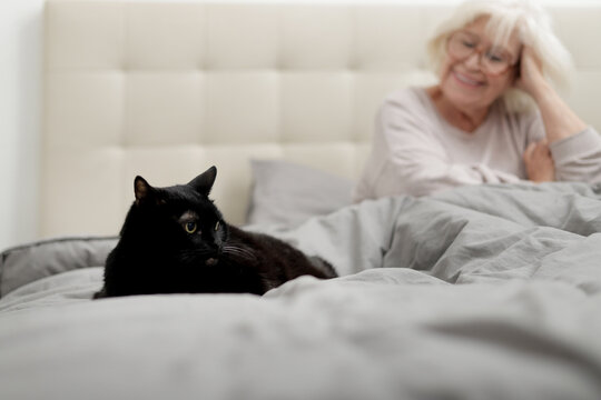 Smiling senior woman sitting on bed with black cat
