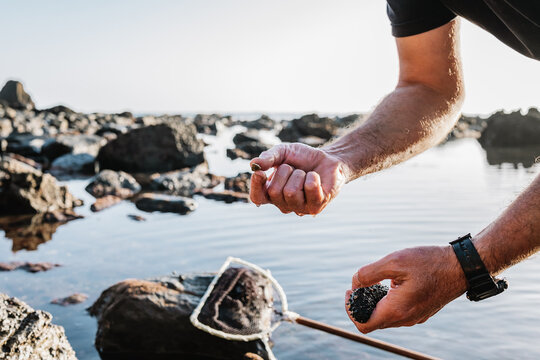 Crop man exploring sea creatures and rocks on shore