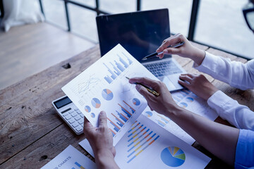 Business Consultant planning Accountant Financial advisor Financial Operation planning Sales management 