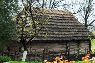 Old rural House