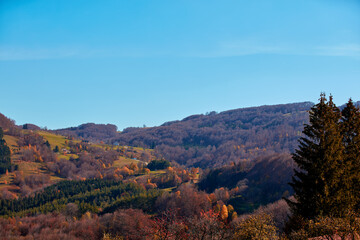 Autumn color trees and countryside landscape.