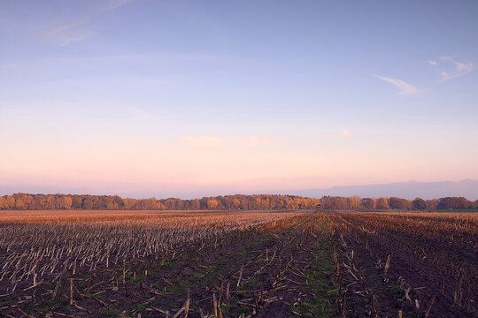 Autumn evening