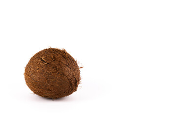 coconut on a white background