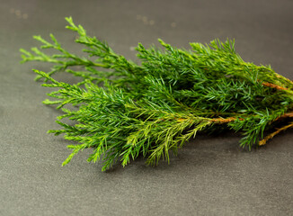 Juniper branches on dark slate.
