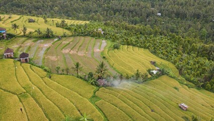 Fototapeta na wymiar Bali, Indonesia - November 13, 2022: The Bali Terrace Rice Fields