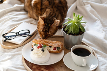 Funny bengal cat lies near wooden tray with coffee, cakes and notebook on bed. Cozy weekend morning at home.