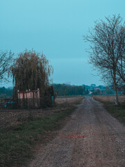 country road in autumn