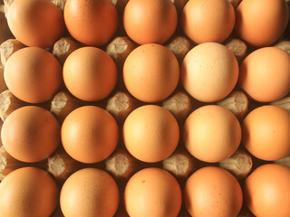 Raw chicken eggs in carton tray, closeup