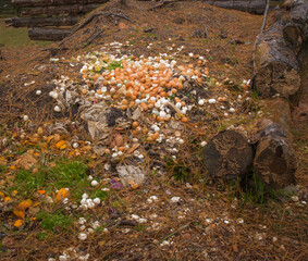 RayDay food-waste compost pile, Serenbe, Chattahoochee Hills, Georgia
