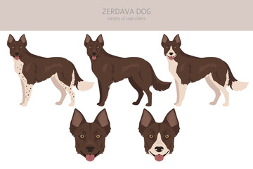 Zerdava dog clipart. All coat colors set.  All dog breeds characteristics infographic