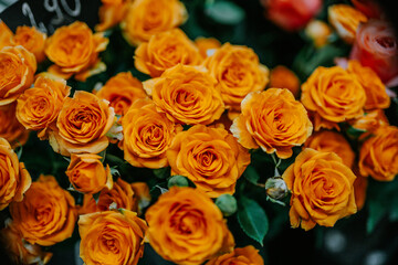 Naklejka premium orange flower bouquet with roses 