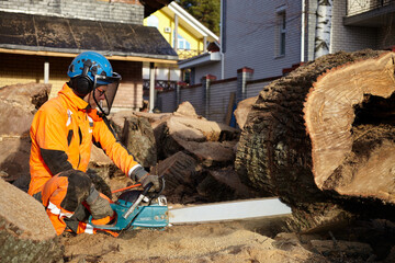 A woodcutter saws a tree with a chainsaw