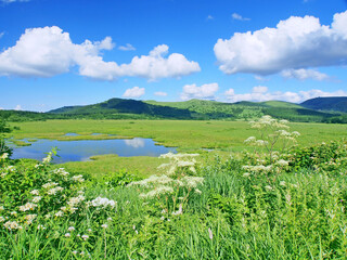 初夏の八島ヶ原湿原・長野県 霧ヶ峰 © mahalopuka