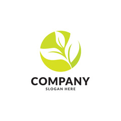 Tree leaf vector logo design, eco friendly concept.