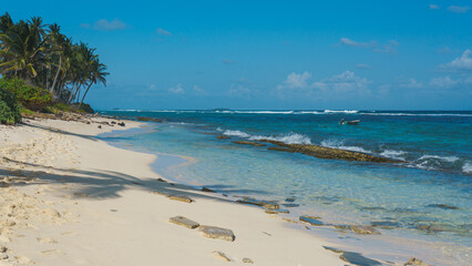 Playa de aguas turquesas con palmeras paisaje increíble 