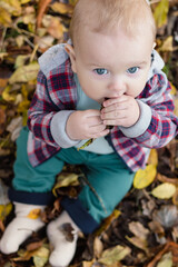 Little cute baby boy have fun outdoors in the park in autumn time