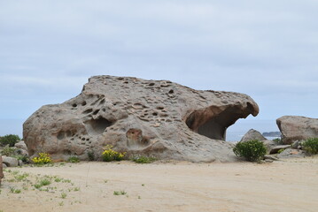 Fototapeta na wymiar Rocks with beautiful shapes