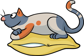 Niedliche bunte Katze liegt entspannt auf einem Kissen