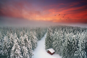 Sonnenaufgang im Winterwald