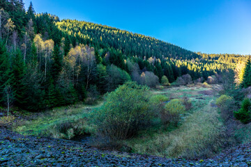 Herbstspaziergang um die schmale Talsperre im Thüringer Wald - Tambach-Dietharz - Deutschland