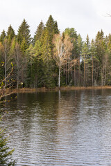 Obraz premium Late autumn lake view in Eastern Finland