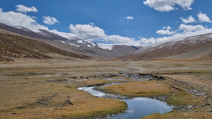 Nimaling campsite in Markha valley, Ladakh