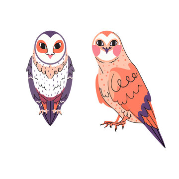 Vector owl characters set. Cute forest bird illustration isolated on white background. 