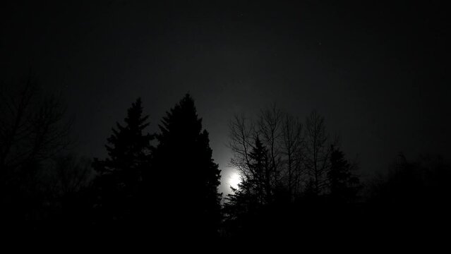 Time lapse of moon moving slowly through the trees with a very dark sky. A few stars can also be see moving.
