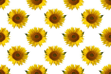 seamless pattern with sunflowers on a white background.
