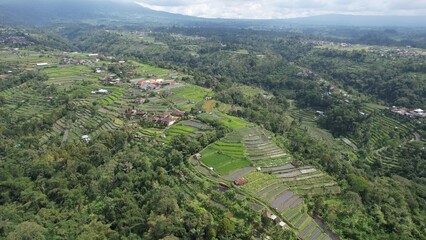 Bali, Indonesia - November 12, 2022: The Scenery of Munduk area at North Bali