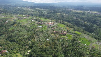 Fototapeta na wymiar Bali, Indonesia - November 12, 2022: The Scenery of Munduk area at North Bali