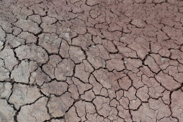 dry cracked earth