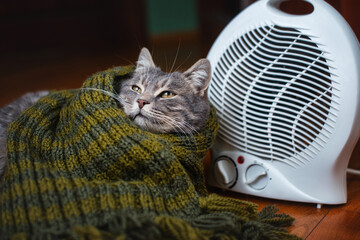 Funny cat in a scarf near a modern electric fan heater in the room. The cat is warming himself near...