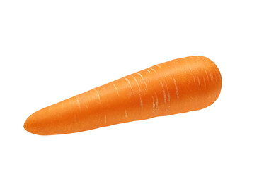 にんじん 人参 イラスト リアル 単体