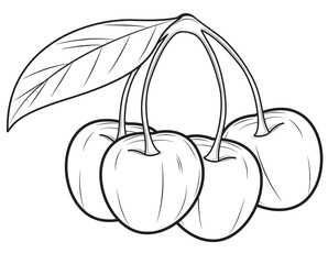 Realistic cherry isolated on white background. Vector illustration.