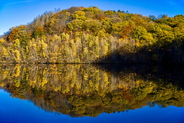 a clear symmetrical reflection of autumn forest in a lake on a sunny afternoon