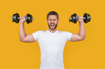 Fototapeta na wymiar shouting muscular fitness guy hold barbell in shirt. muscular fitness guy with barbell.