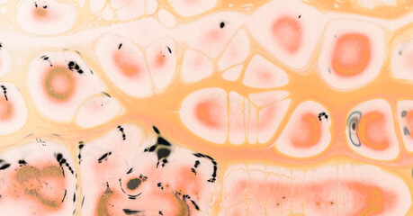 Obraz na płótnie Canvas close up of sliced tomato